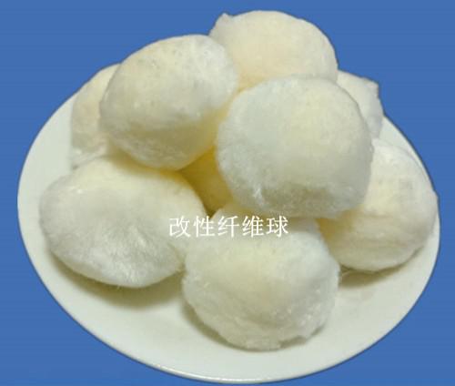 �����w�S��